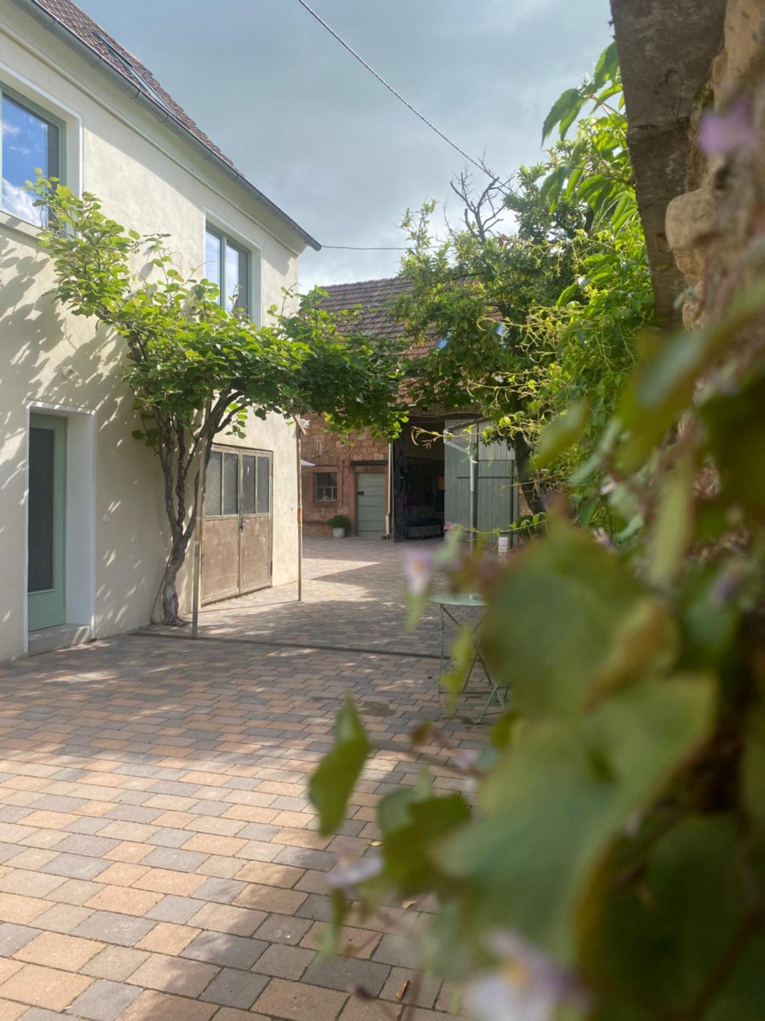 Zum Schockelgaul Gaestehaus Forst an der Weinstrasse Ngoại thất bức ảnh