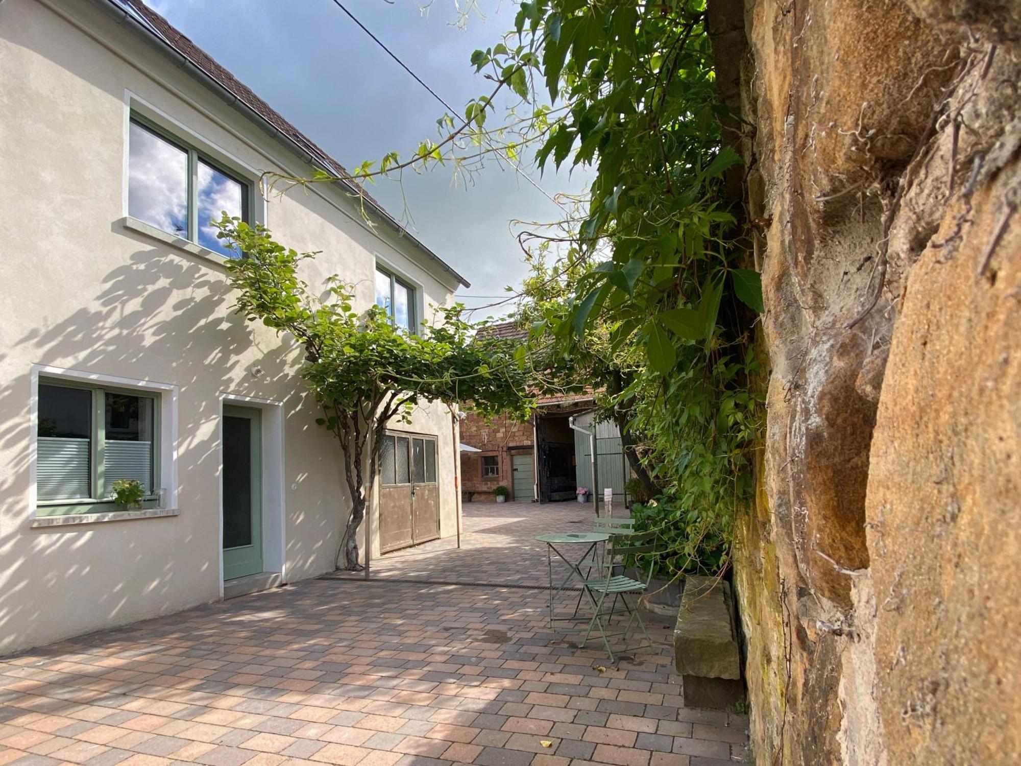 Zum Schockelgaul Gaestehaus Forst an der Weinstrasse Ngoại thất bức ảnh